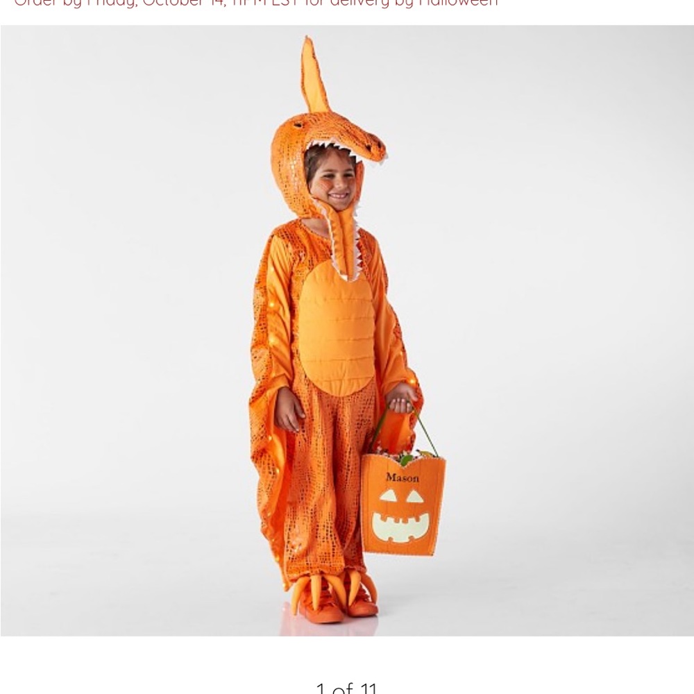 Pottery Barn Pterodactyl light up Halloween costume